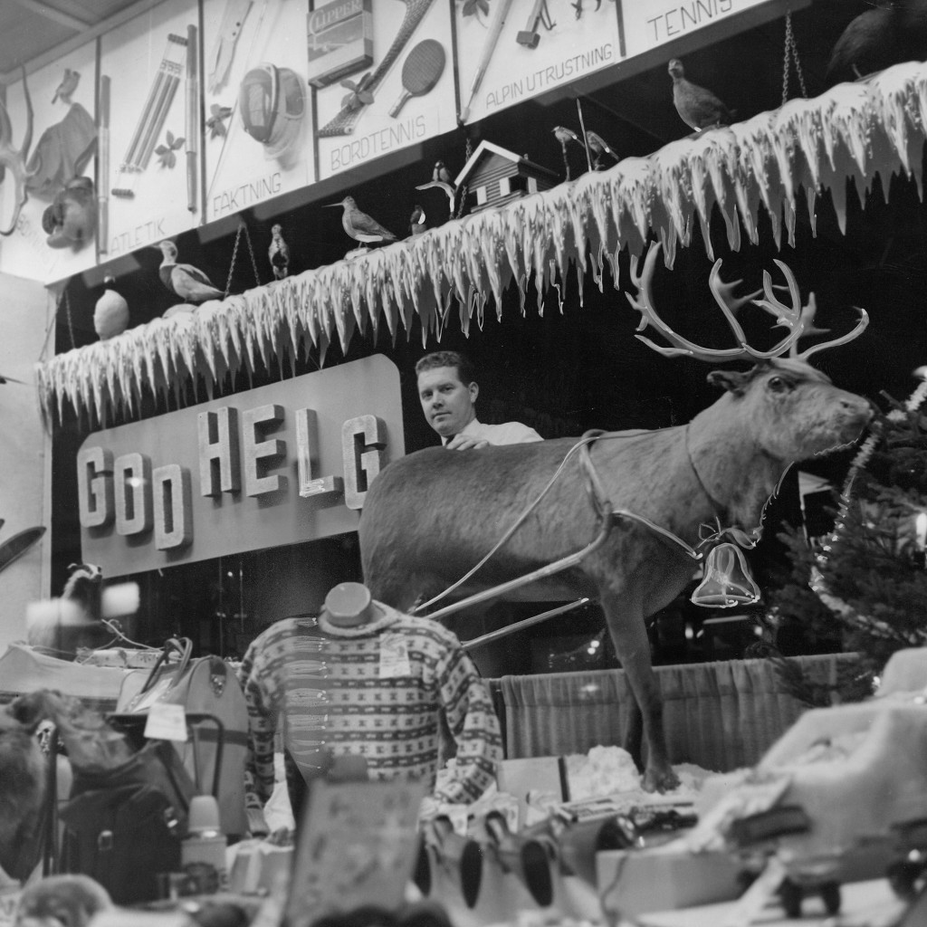 Julskyltningen i Stockholm 1958. Widforss sportaffär vid Hamngatan har placerat en hel ren i fönstret. Disponent Erik Karlsson inspekterar.
